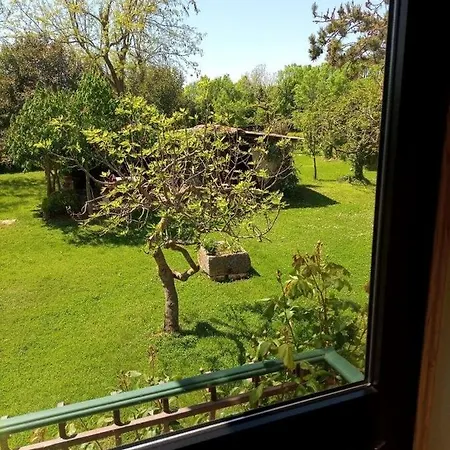 Apartament House *